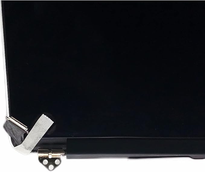 MacBook Pro A1502 2015 Display